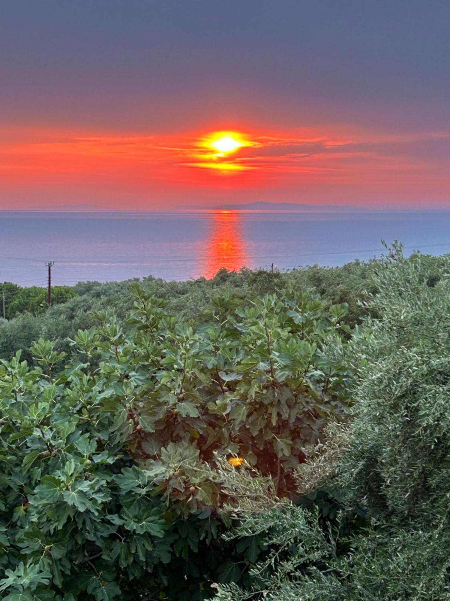 Ionian Blue View Holiday home Riza (Epirus)