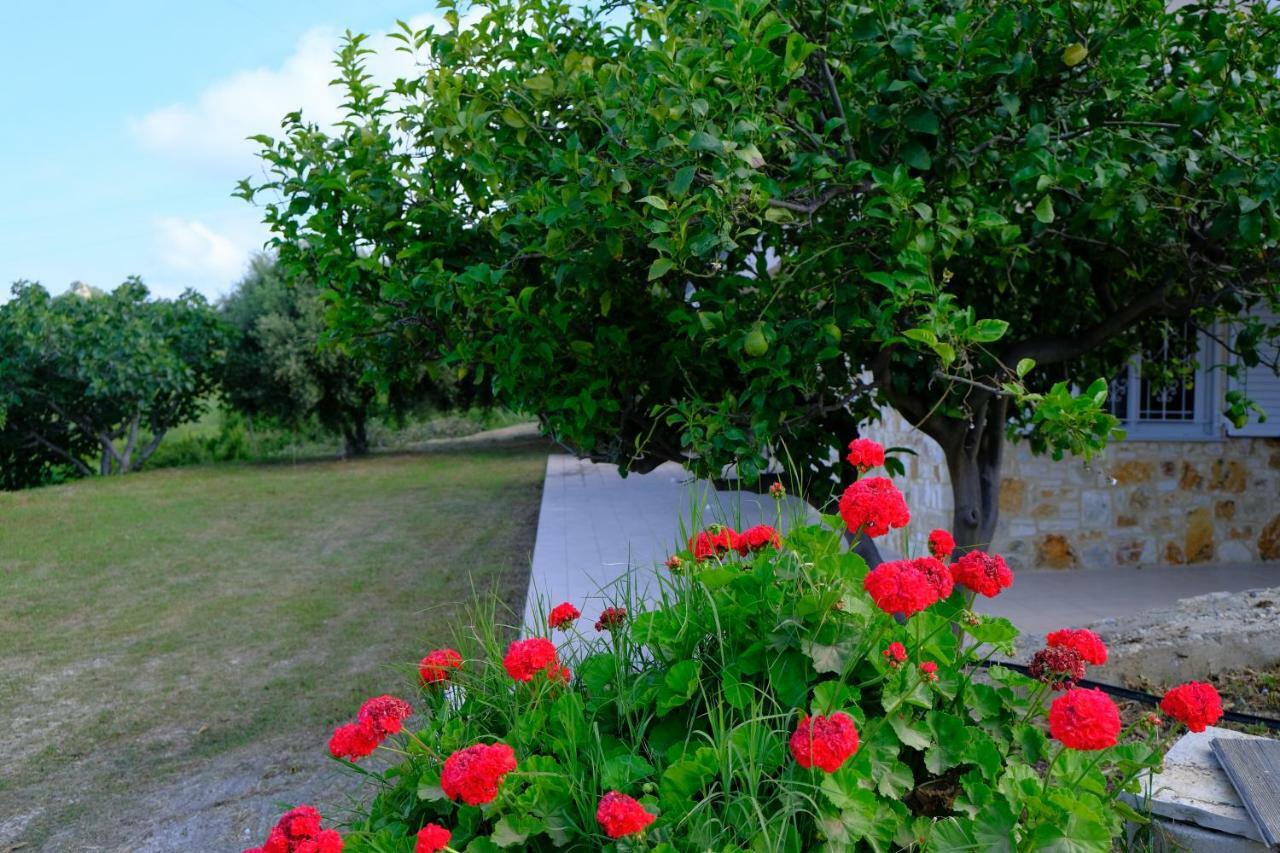 Ionian Blue View Holiday home Riza (Epirus)