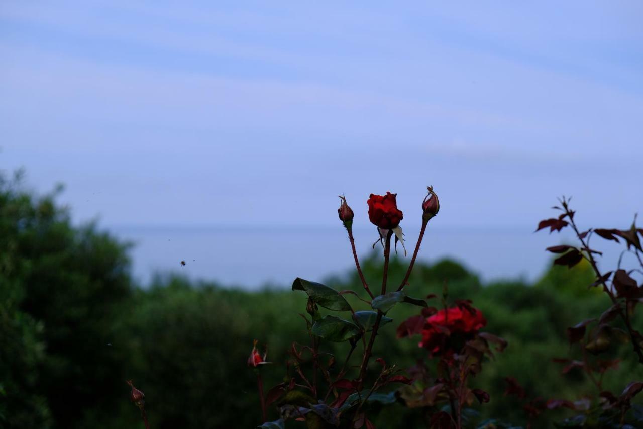 Ionian Blue View Holiday home
